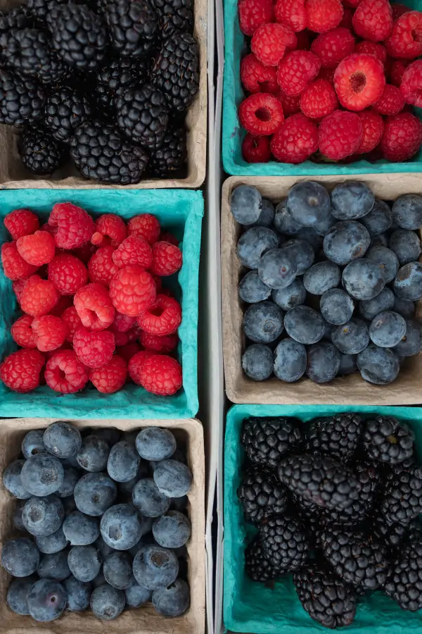 Foods_For_Collagen_Support_600x900